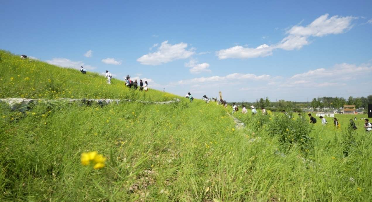 WPS图片5).jpg